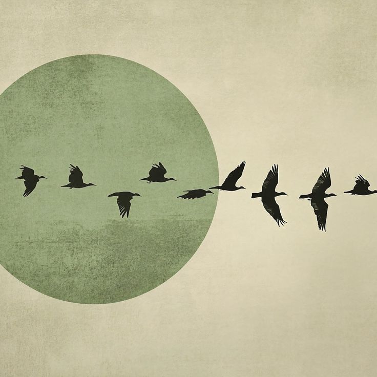 Minimalist Bird Silhouette Art Print – Modern Nature Wall Décor