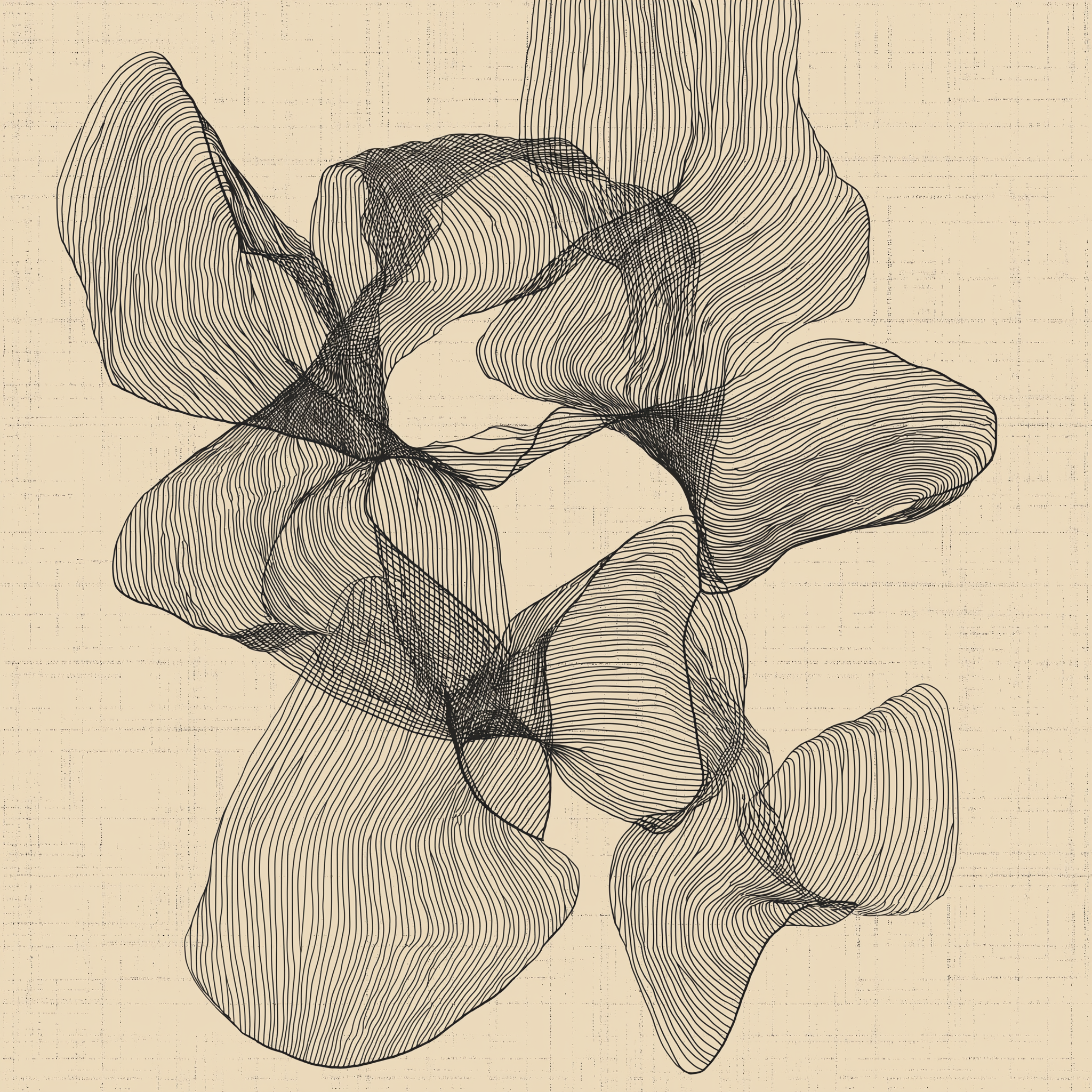 Modern Abstract Line Art Print – Minimalist Fluid Form Wall Décor