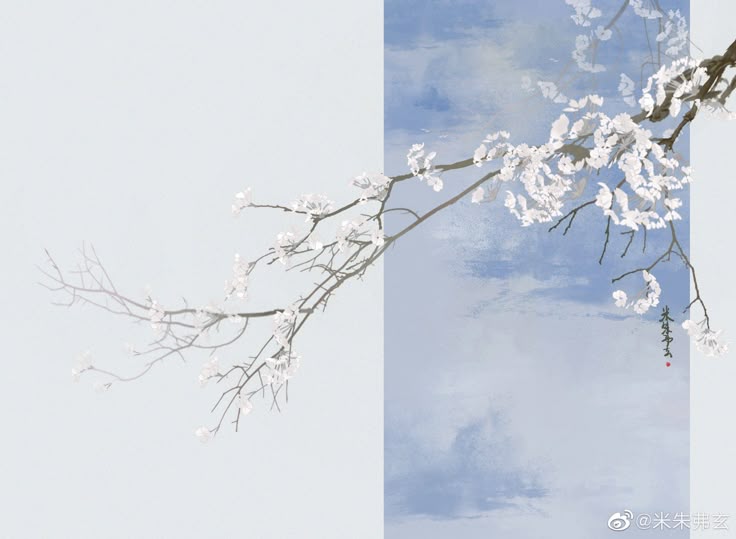 Blossoms in Quiet Sky