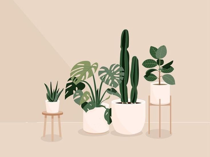 Quietly Rooted